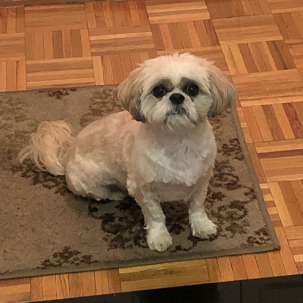 Meet your Posher, Yana